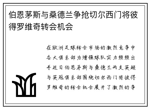 伯恩茅斯与桑德兰争抢切尔西门将彼得罗维奇转会机会
