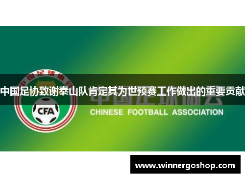 中国足协致谢泰山队肯定其为世预赛工作做出的重要贡献